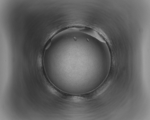 X0000112800393200908211138