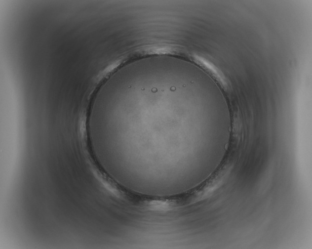 X0000112800394200908211138