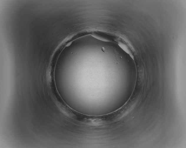 X0000112800395200908211137