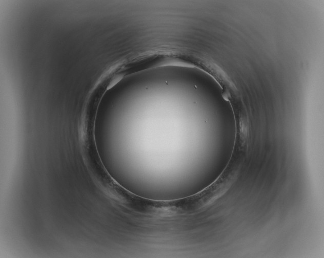 X0000112800396200908211137