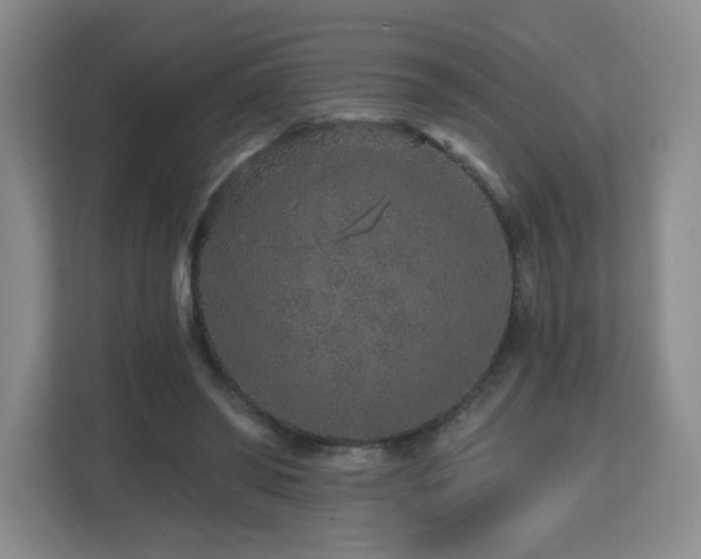 X0000112800398200908211137