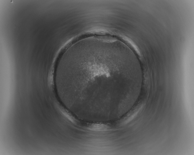 X0000112800399200908211137