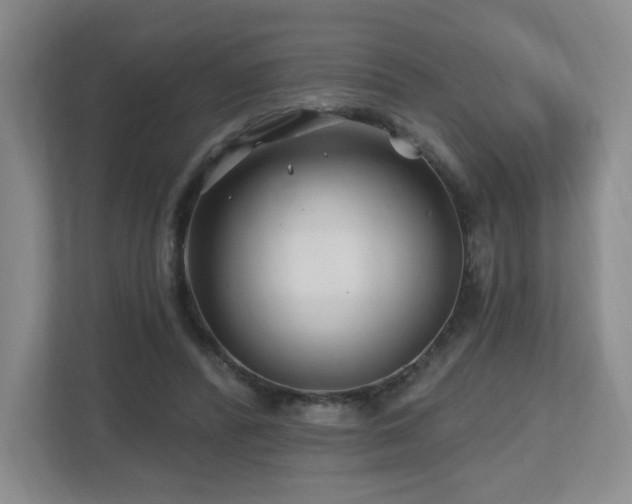X0000112800400200908211137