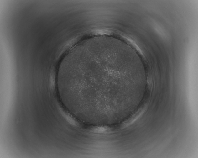 X0000112800402200908211137
