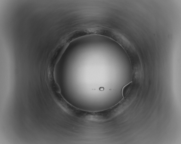 X0000112800408200908211137