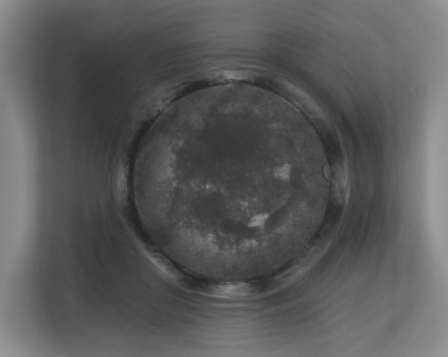 X0000112800410200908211137
