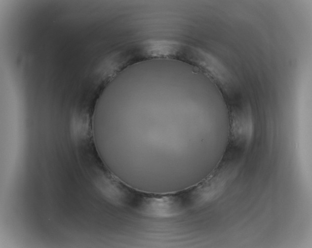X0000112800411200908211137