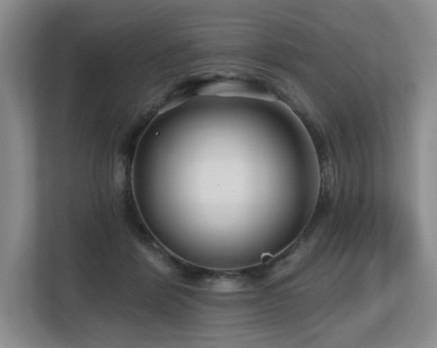 X0000112800412200908211137
