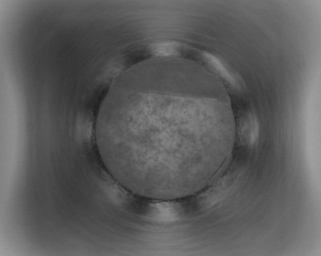 X0000112800417200908211137