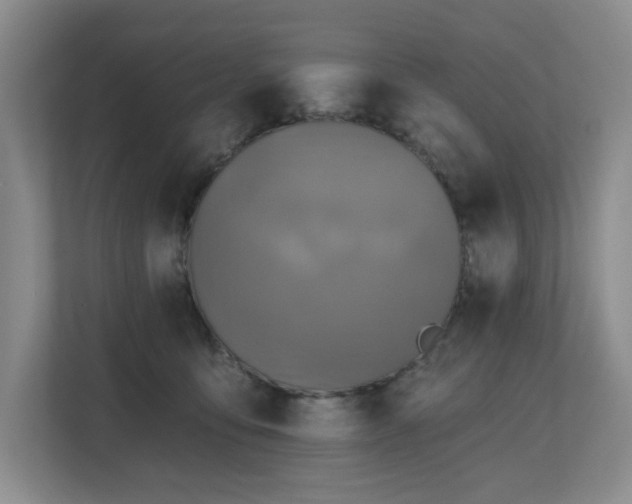 X0000112800419200908211137