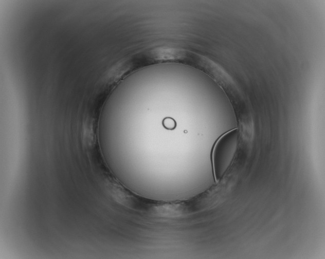 X0000112800422200908211137