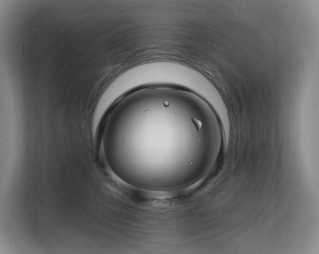 X0000112800423200908211137