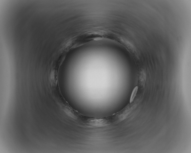 X0000112800428200908211137