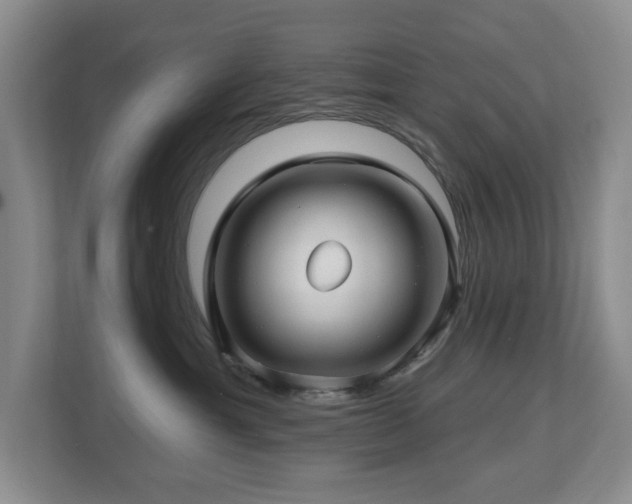 X0000112800429200908211137