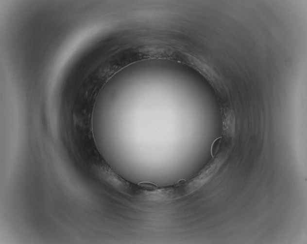 X0000112800430200908211137