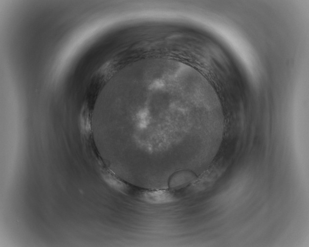 X0000112800431200908211137