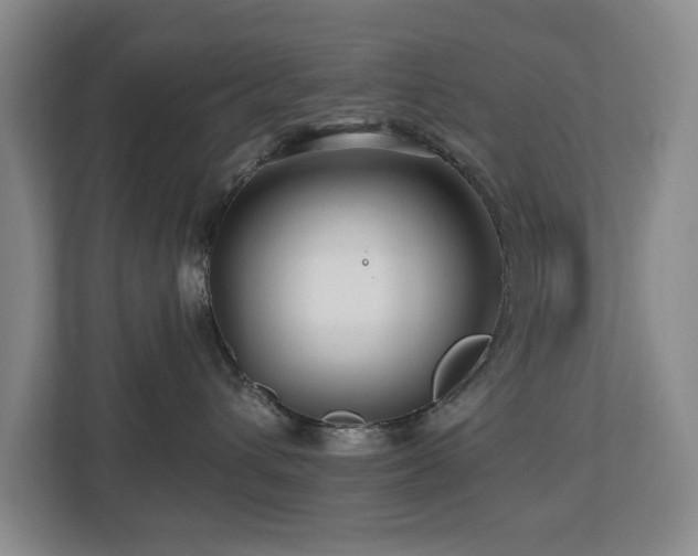 X0000112800432200908211137
