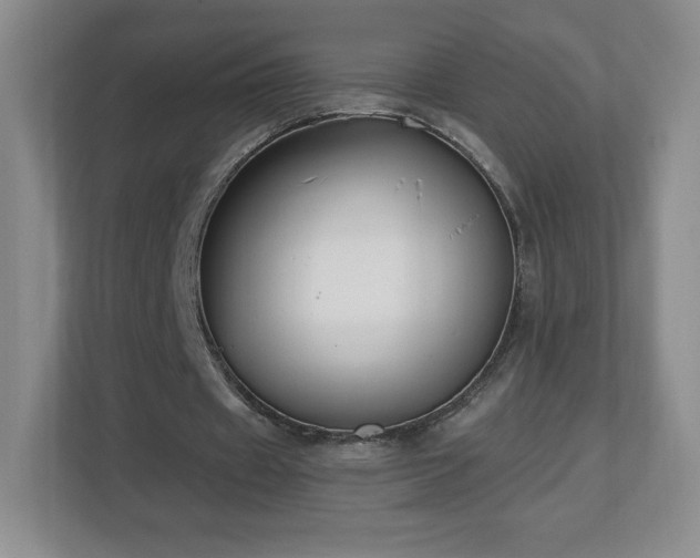 X0000112800433200908211136