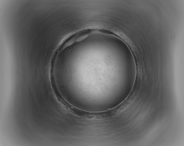 X0000112800434200908211136