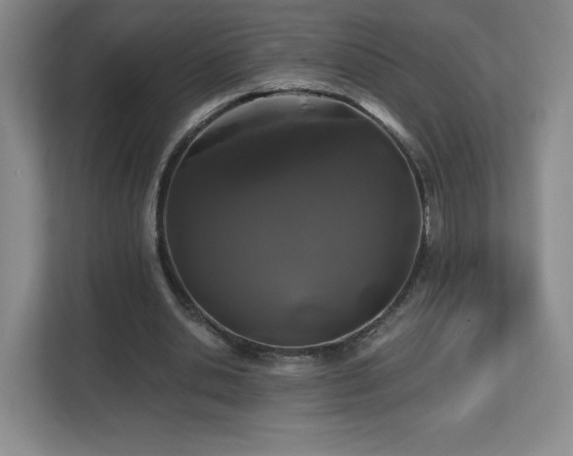 X0000112800438200908211136