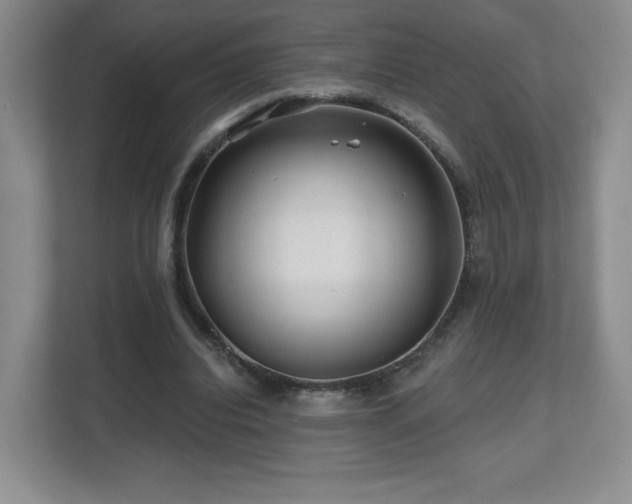 X0000112800440200908211136