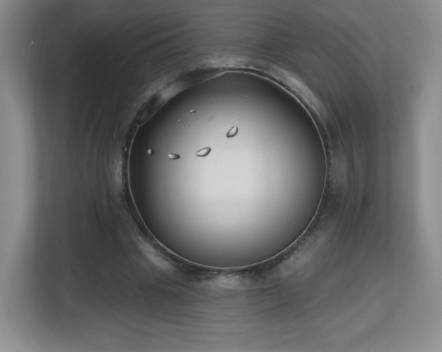 X0000112800441200908211136