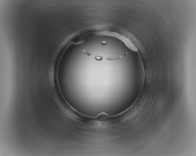 X0000112800442200908211137