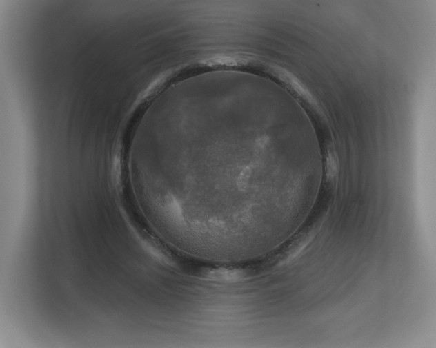 X0000112800444200908211137