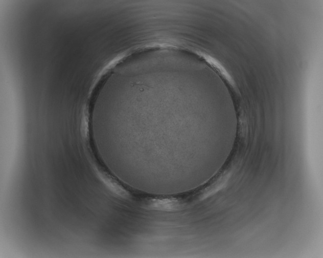 X0000112800446200908211137