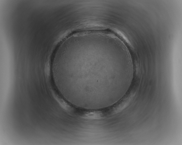 X0000112800447200908211137
