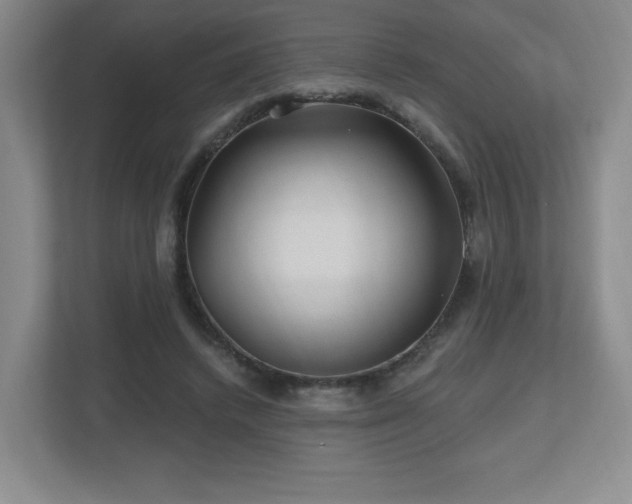 X0000112800448200908211137