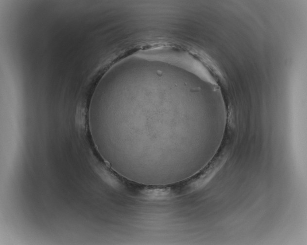X0000112800449200908211137