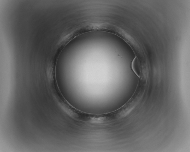 X0000112800450200908211137