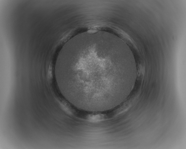 X0000112800452200908211137