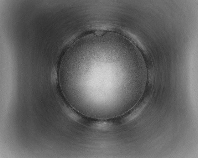 X0000112800453200908211137