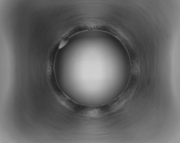 X0000112800456200908211137