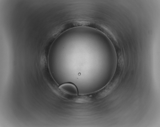X0000112800459200908211137