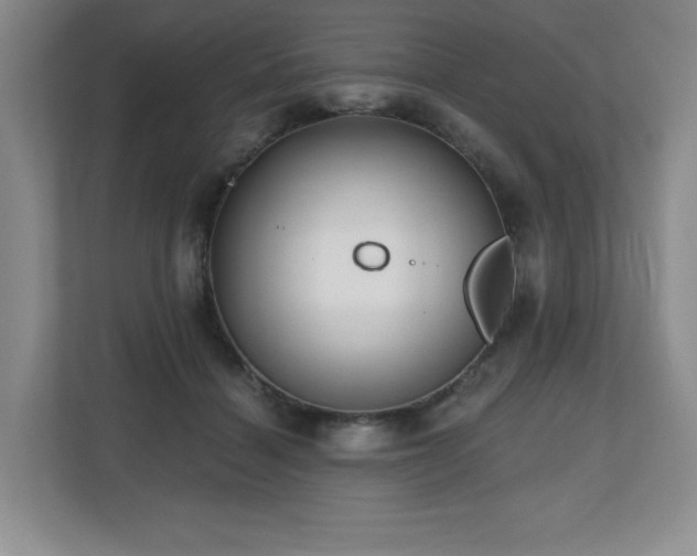X0000112800460200908211137