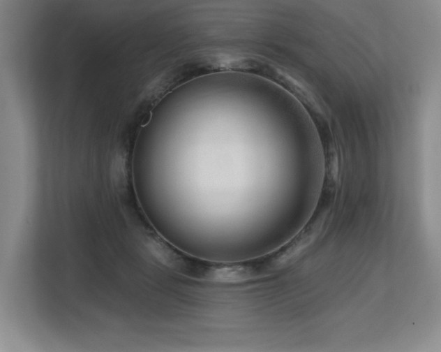 X0000112800461200908211137