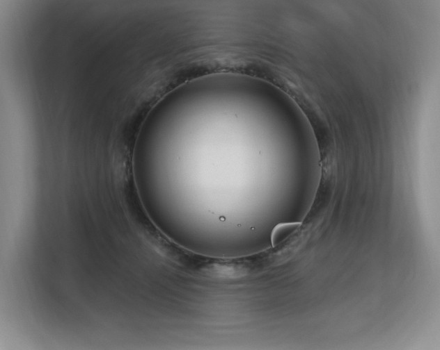 X0000112800464200908211137