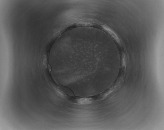 X0000112800465200908211137