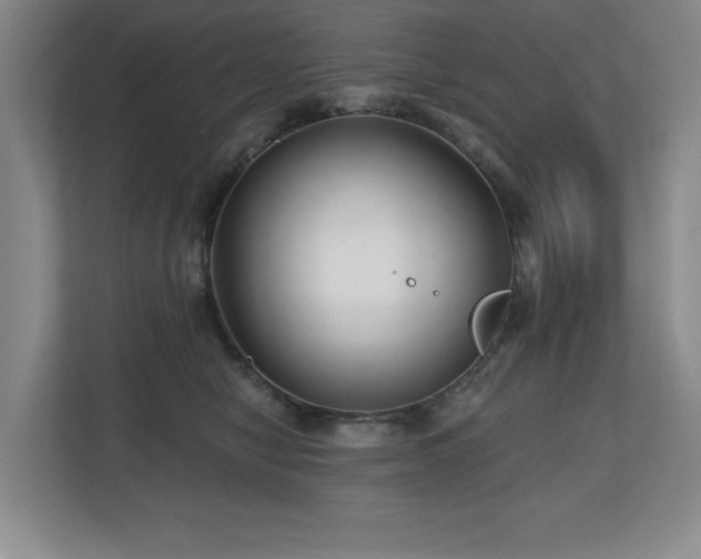 X0000112800470200908211137