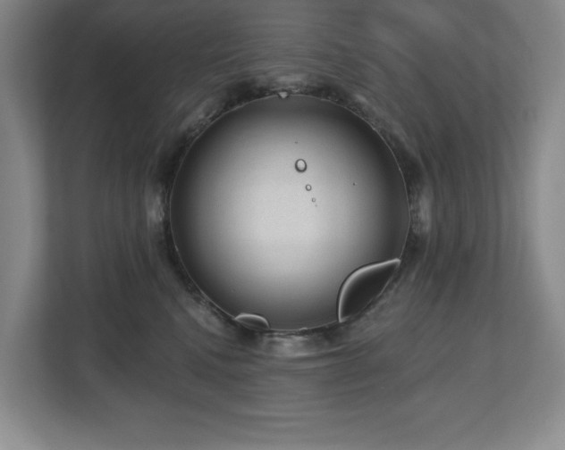 X0000112800472200908211137