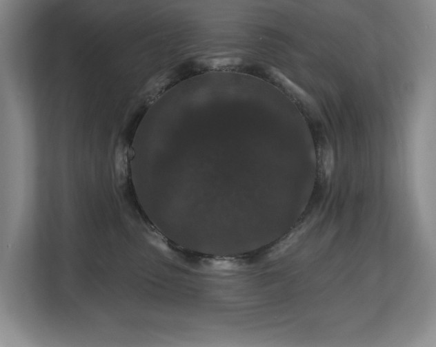 X0000112800475200908211137