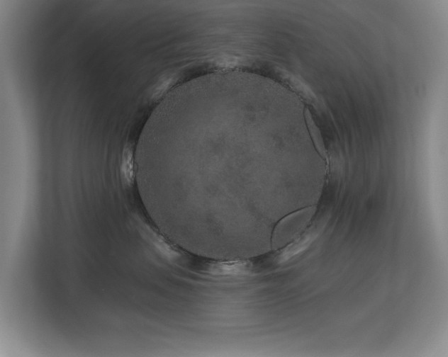 X0000112800479200908211137