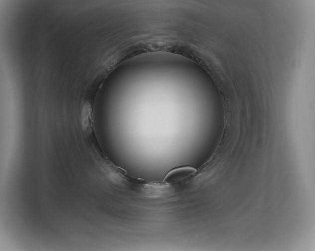 X0000112800480200908211137