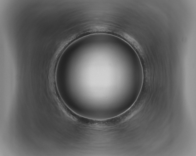 X0000112800481200908211136