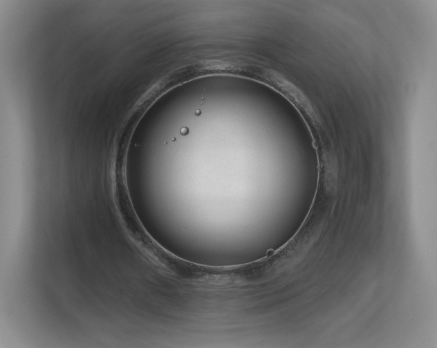 X0000112800482200908211136