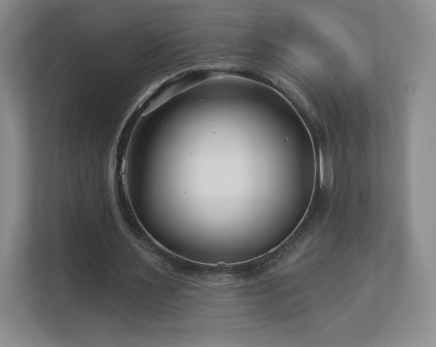 X0000112800483200908211136