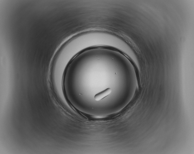 X0000112800484200908211136